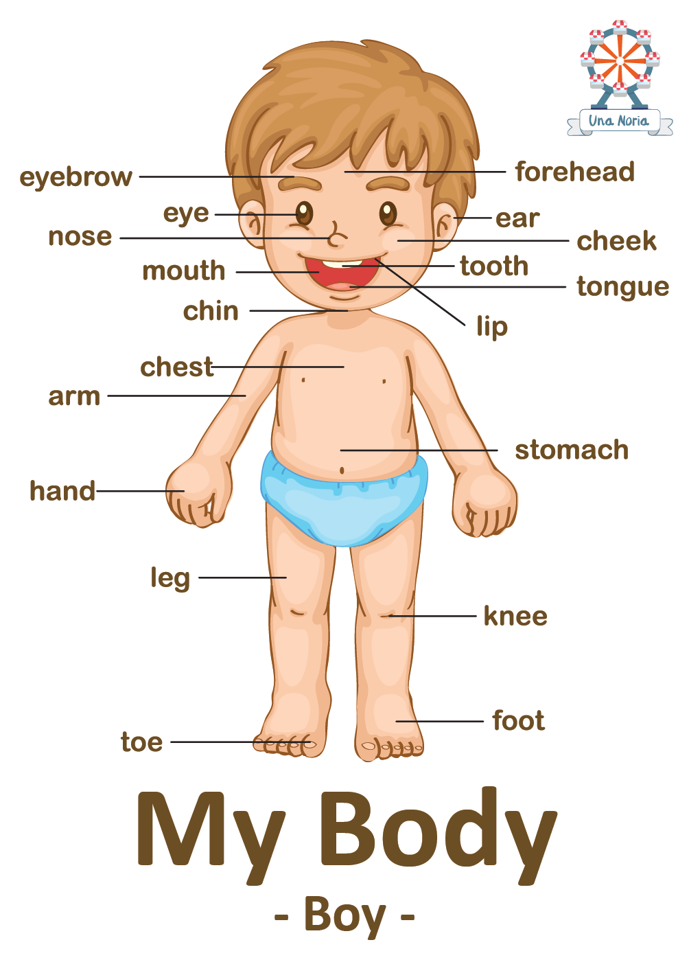Flash Cards - My Body- iNMente UnaNoria