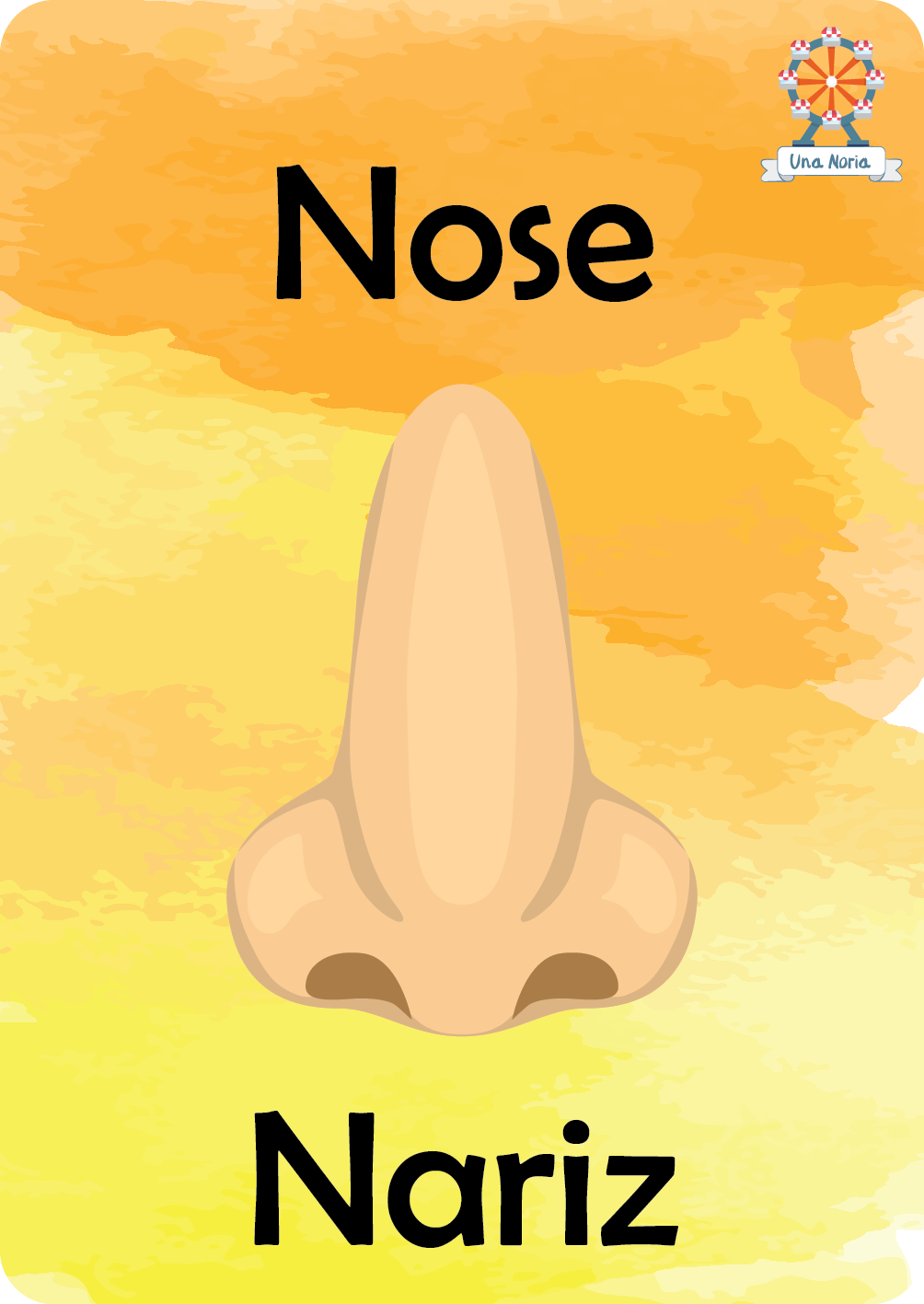 Flash Cards - My Body- iNMente UnaNoria