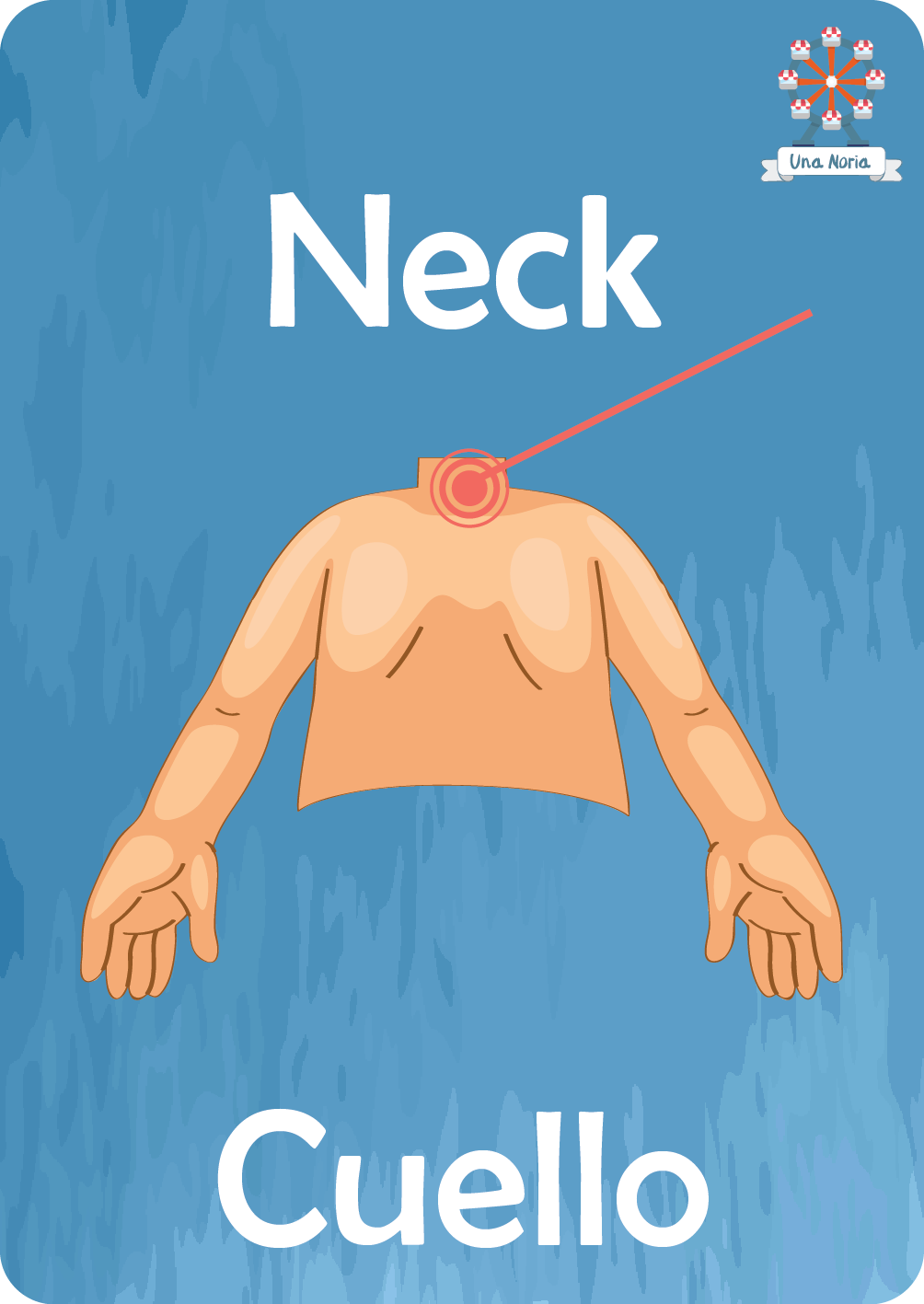 Flash Cards - My Body- iNMente UnaNoria