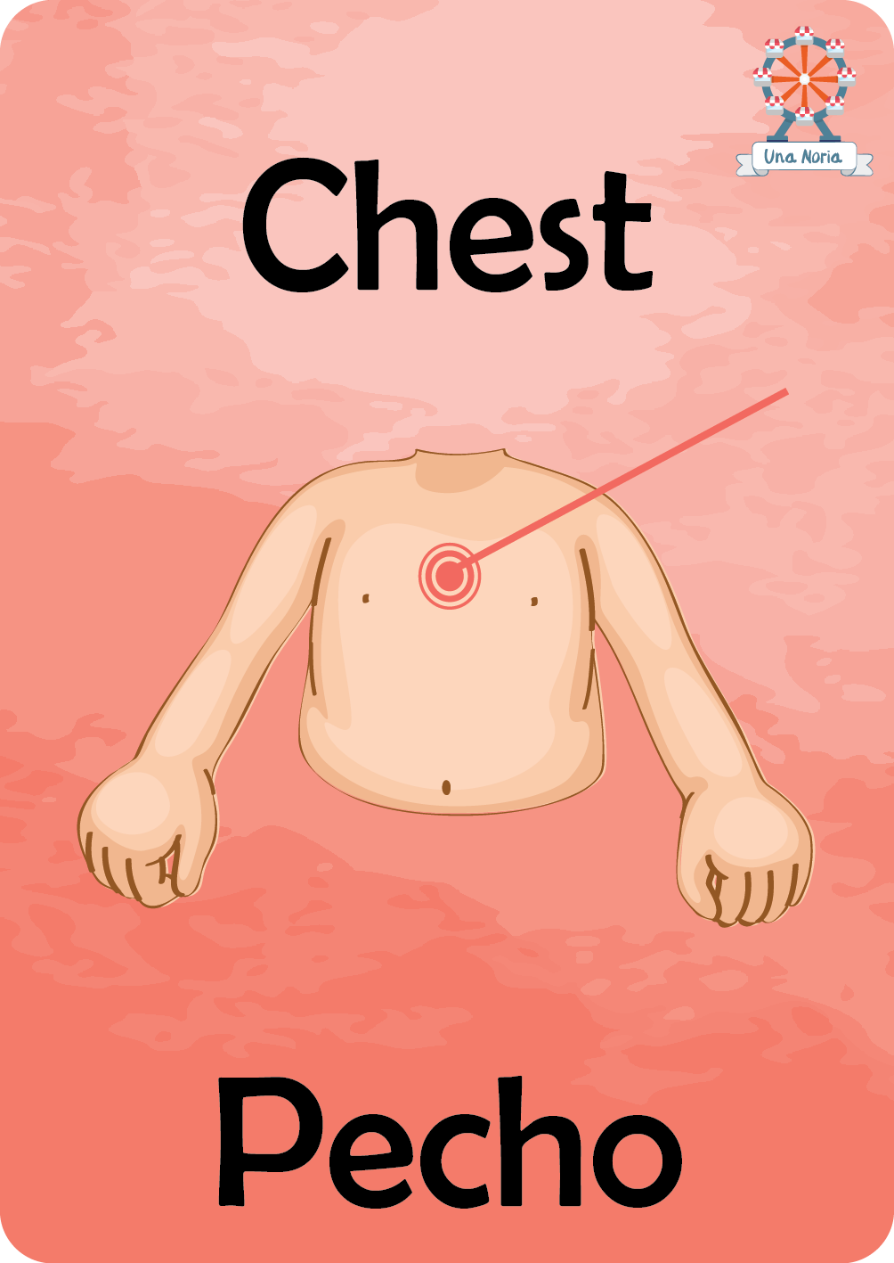 Flash Cards - My Body- iNMente UnaNoria