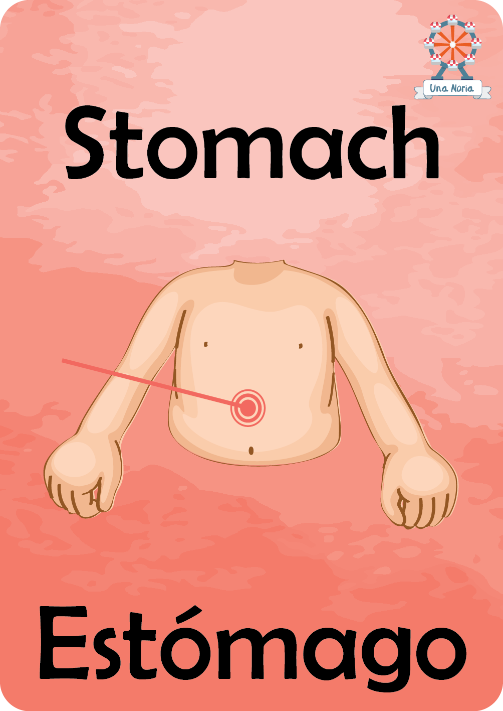 Flash Cards - My Body- iNMente UnaNoria