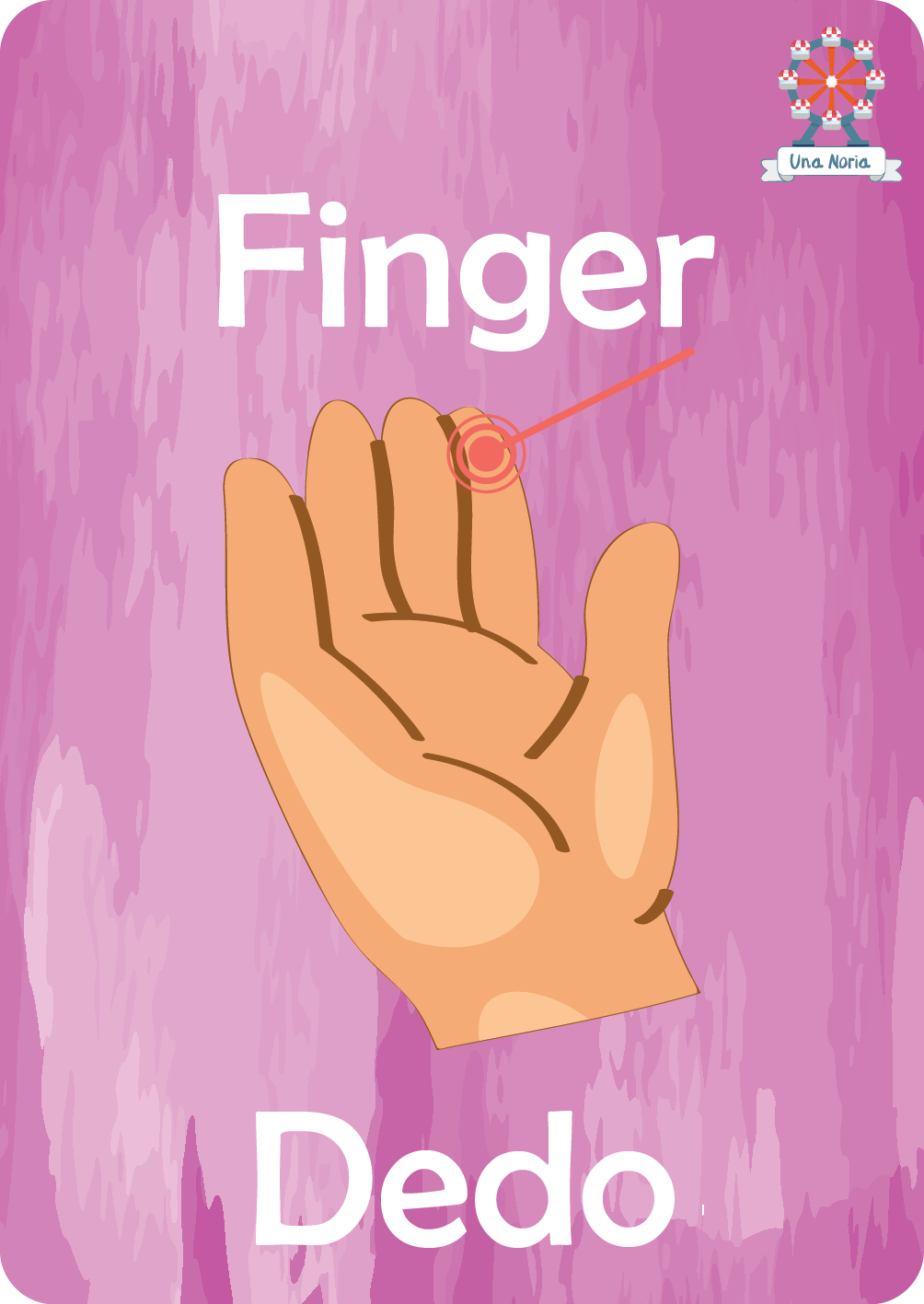 Flash Cards - My Body- iNMente UnaNoria
