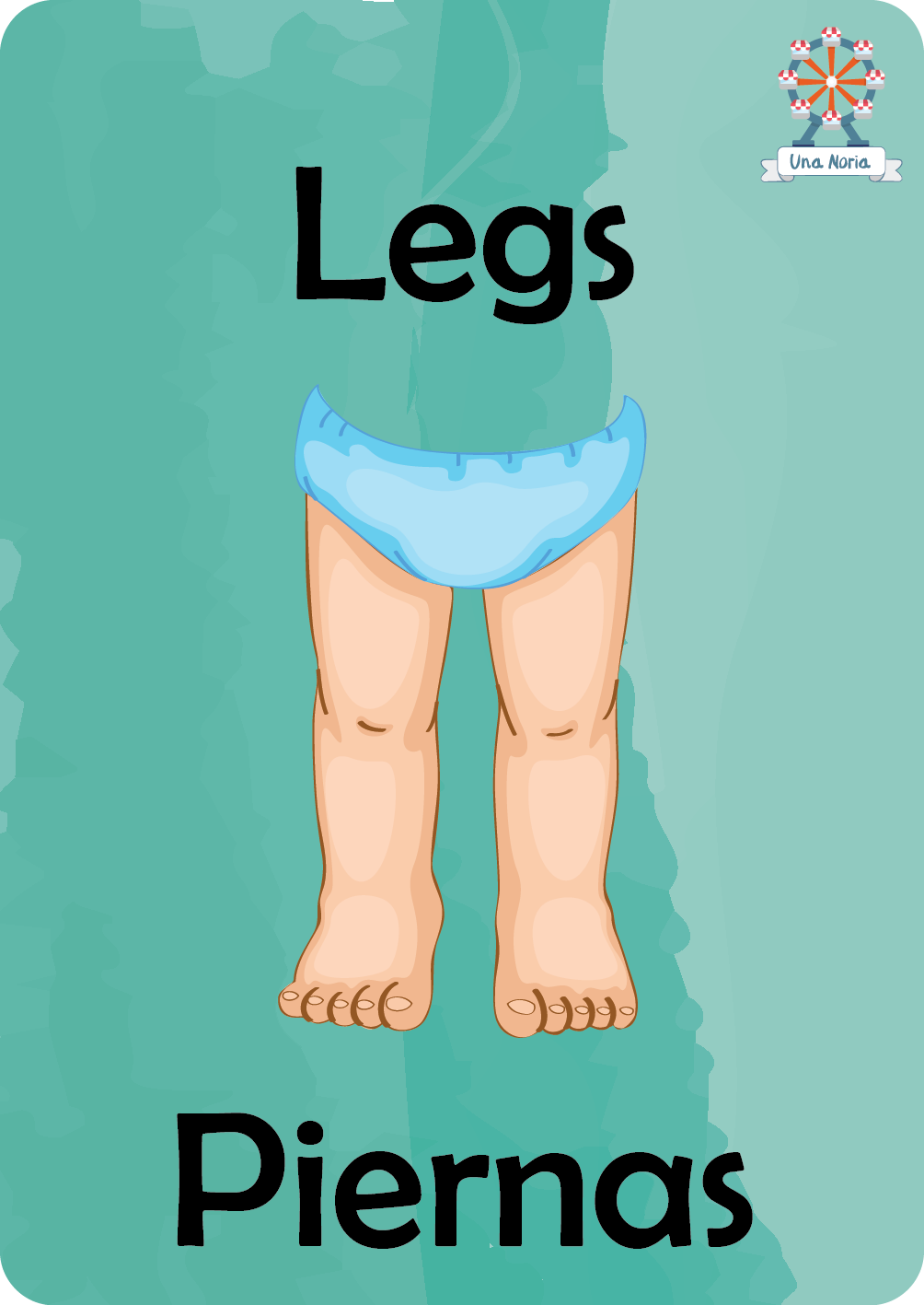 Flash Cards - My Body- iNMente UnaNoria