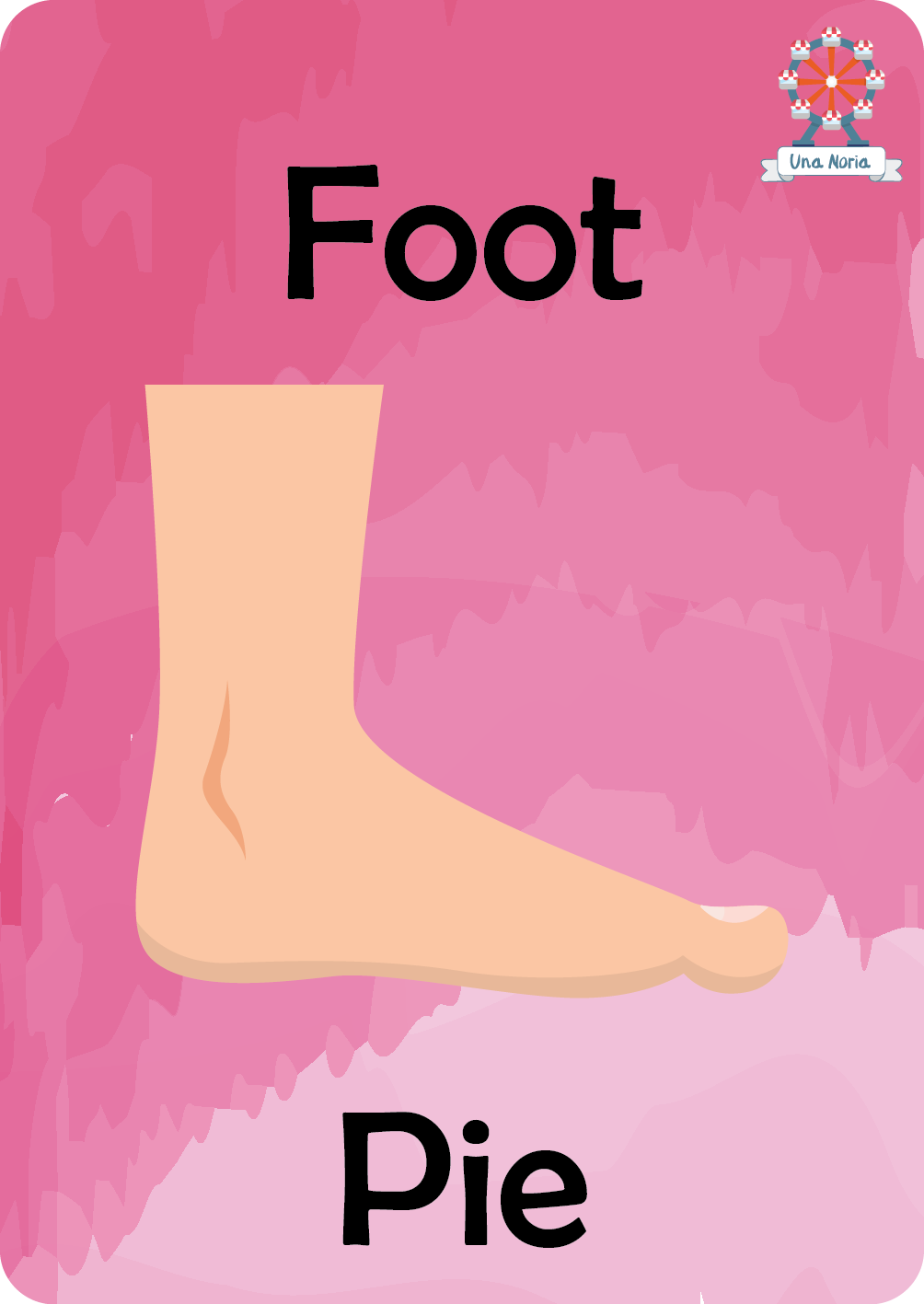 Flash Cards - My Body- iNMente UnaNoria