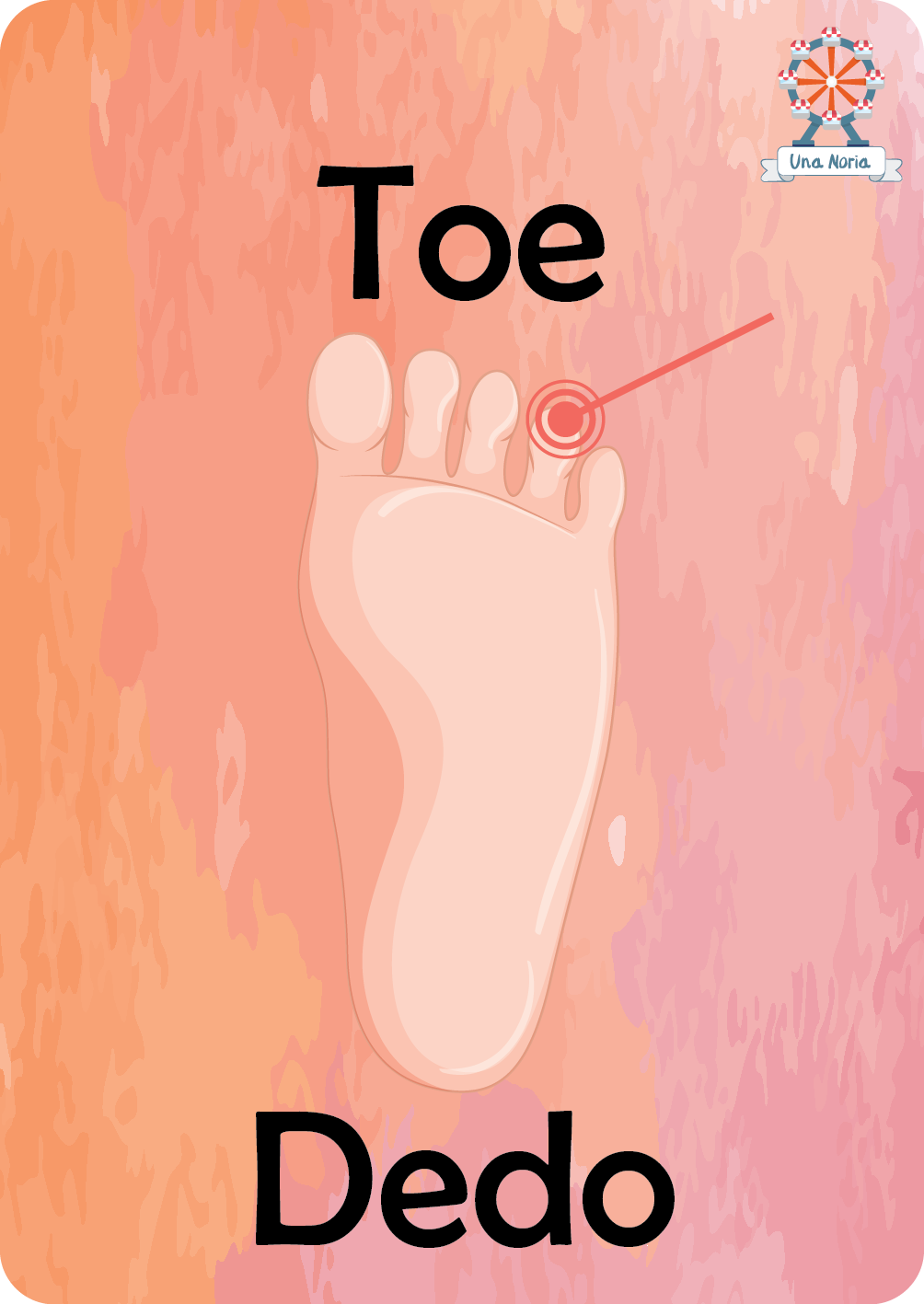 Flash Cards - My Body- iNMente UnaNoria