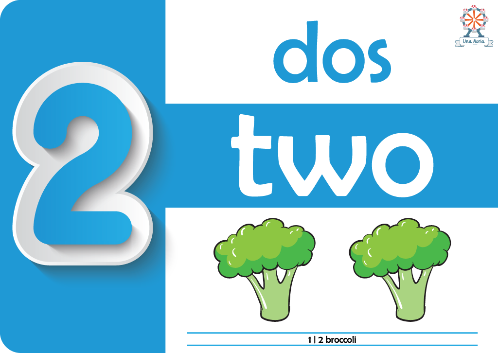 Flash Cards - Numbers- iNMente UnaNoria