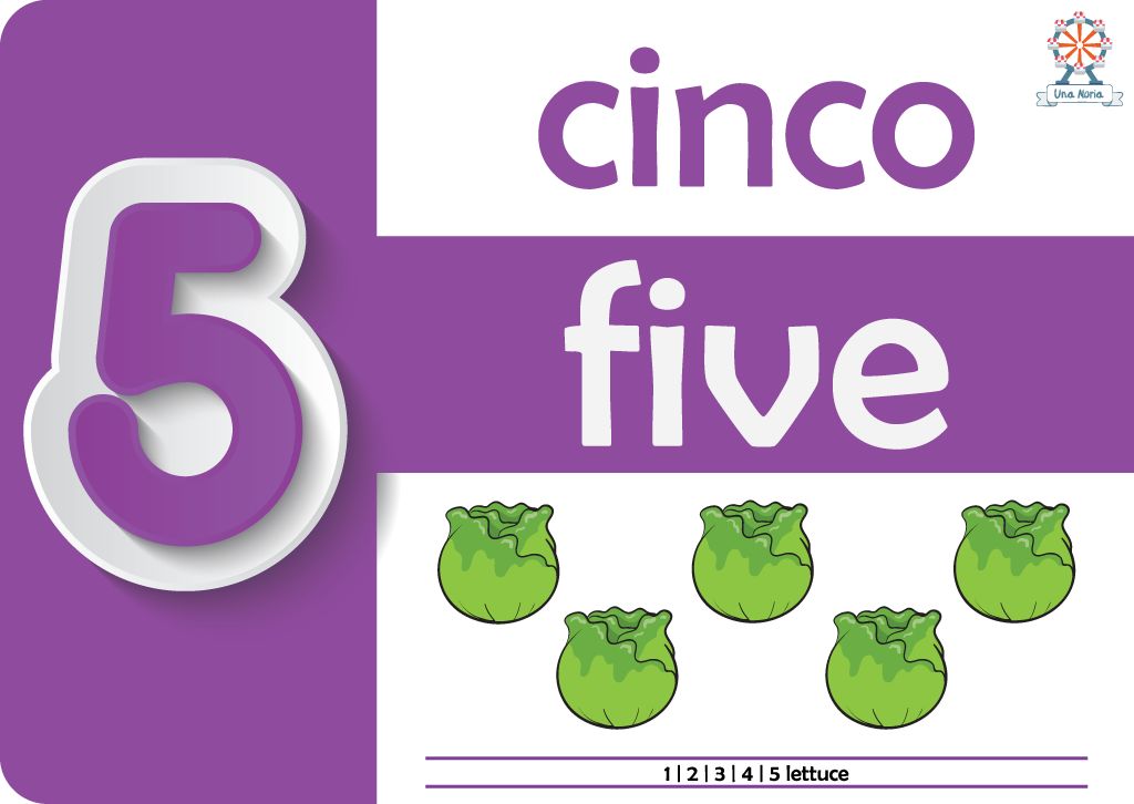 Flash Cards - Numbers- iNMente UnaNoria