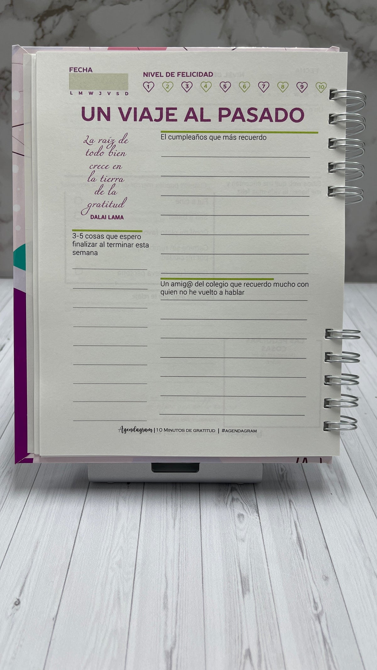 Diario 10 Minutos de Gratitud iNMente con páginas guiadas para saber qué escribir cada día