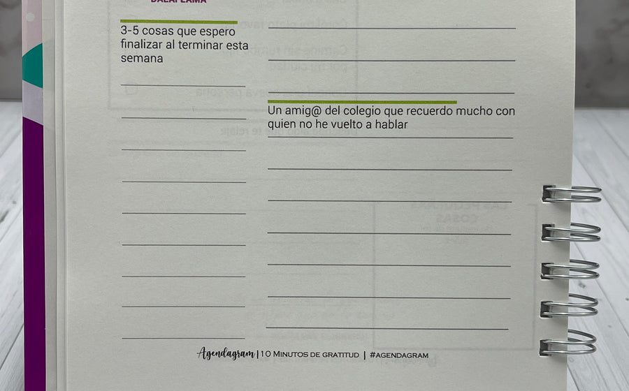 Diario 10 Minutos de Gratitud iNMente con páginas guiadas para saber qué escribir cada día