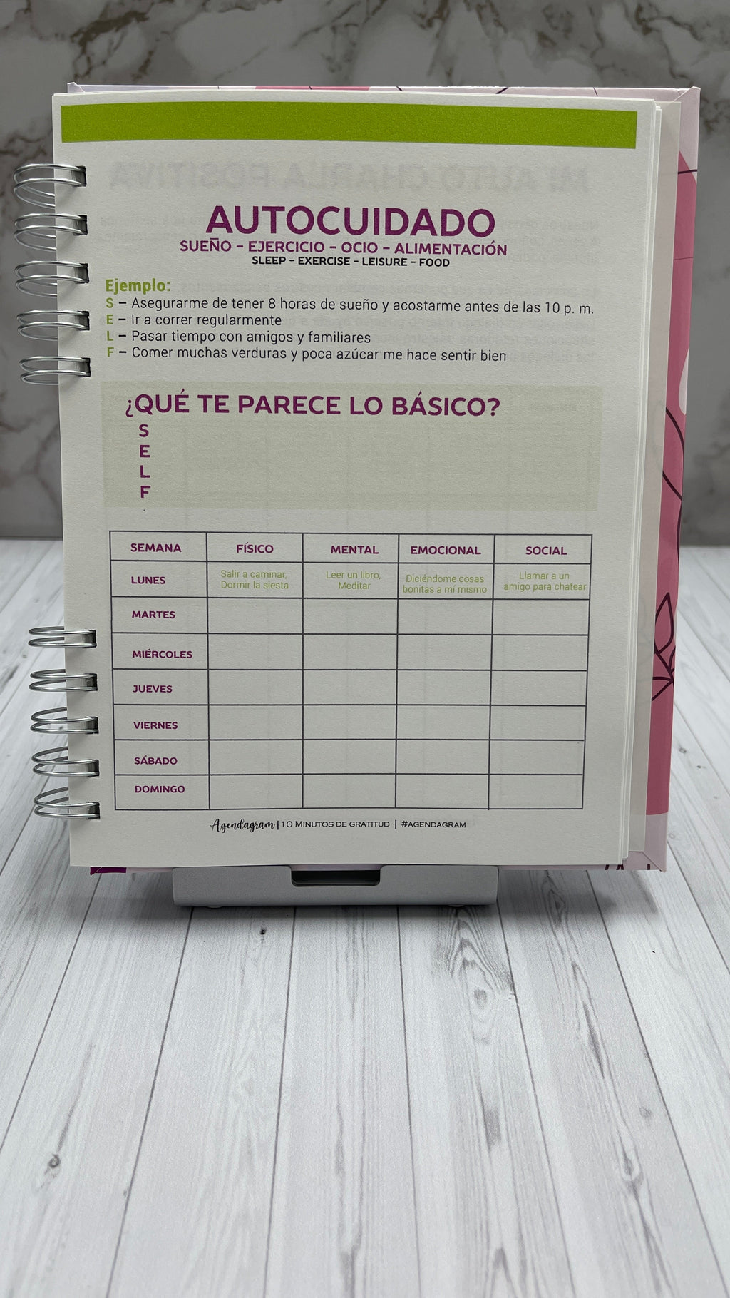 Diario 10 Minutos de Gratitud