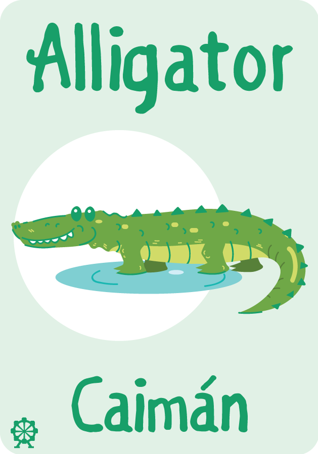 Flash Cards - Animal Alphabet