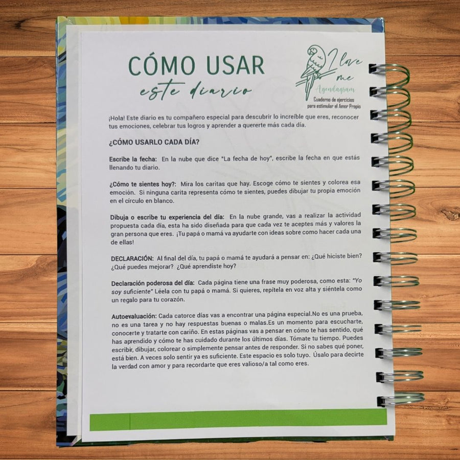 Cómo usar este diario