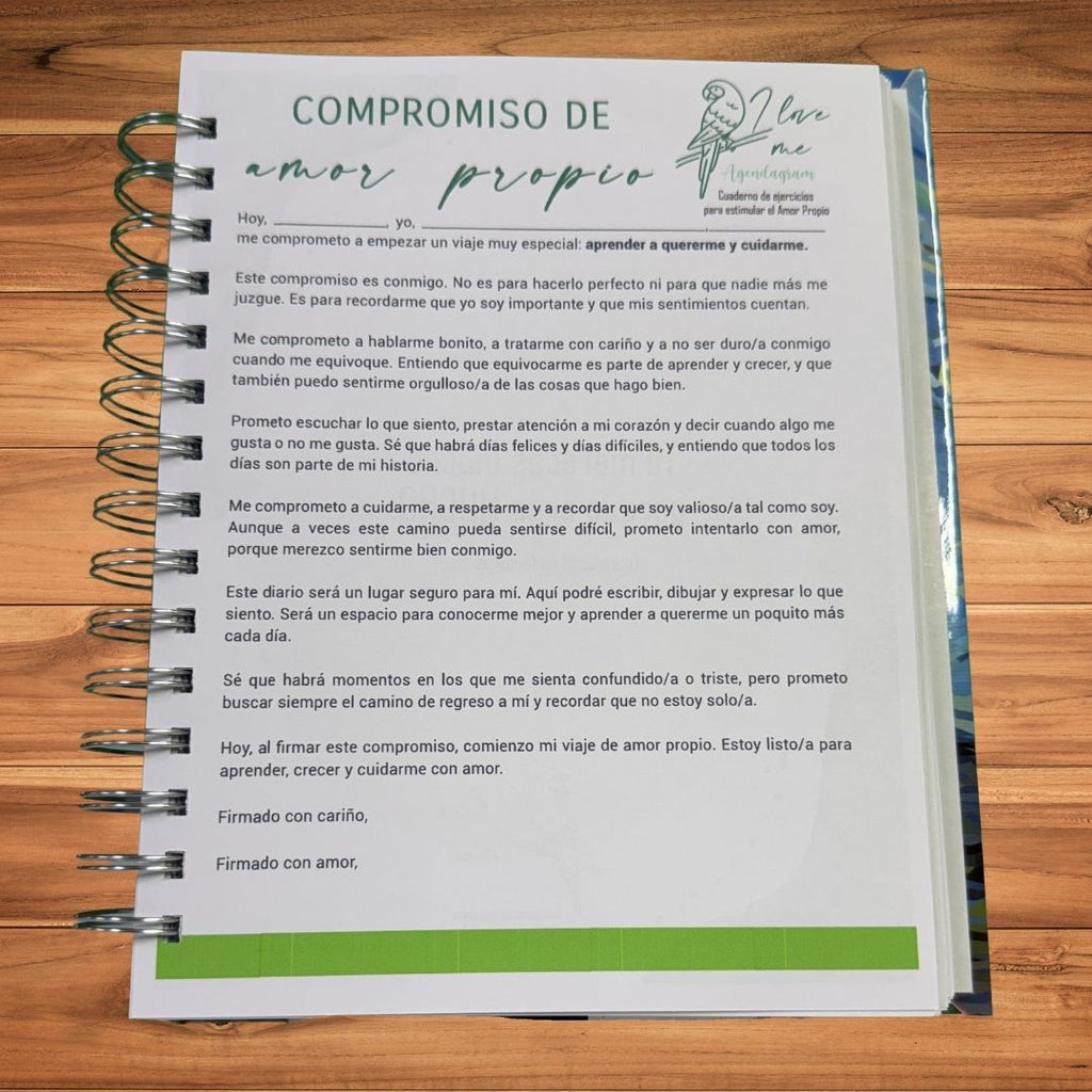 Herramienta de apoyo para terapeutas infantiles: Bitácora de seguimiento emocional.
