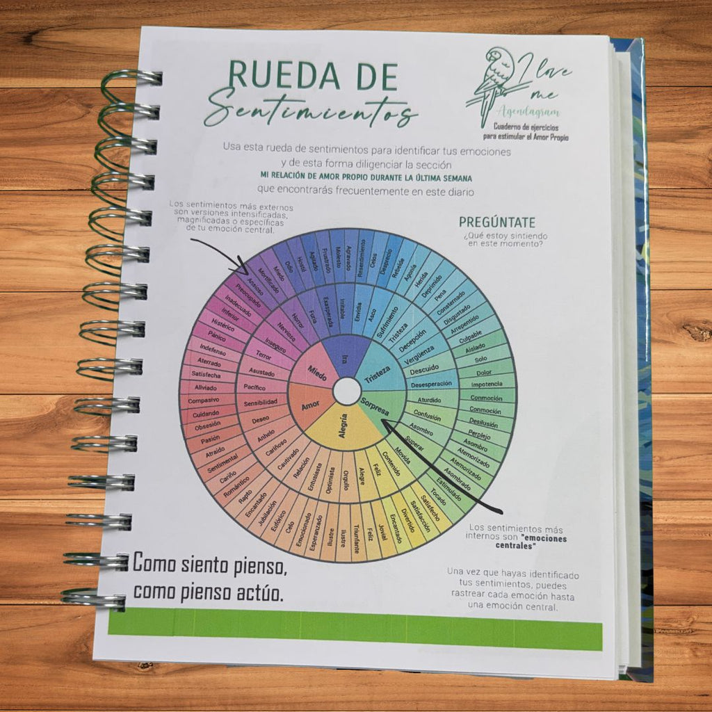 Libro de trabajo iNMente para el desarrollo de la resiliencia en etapas tempranas.