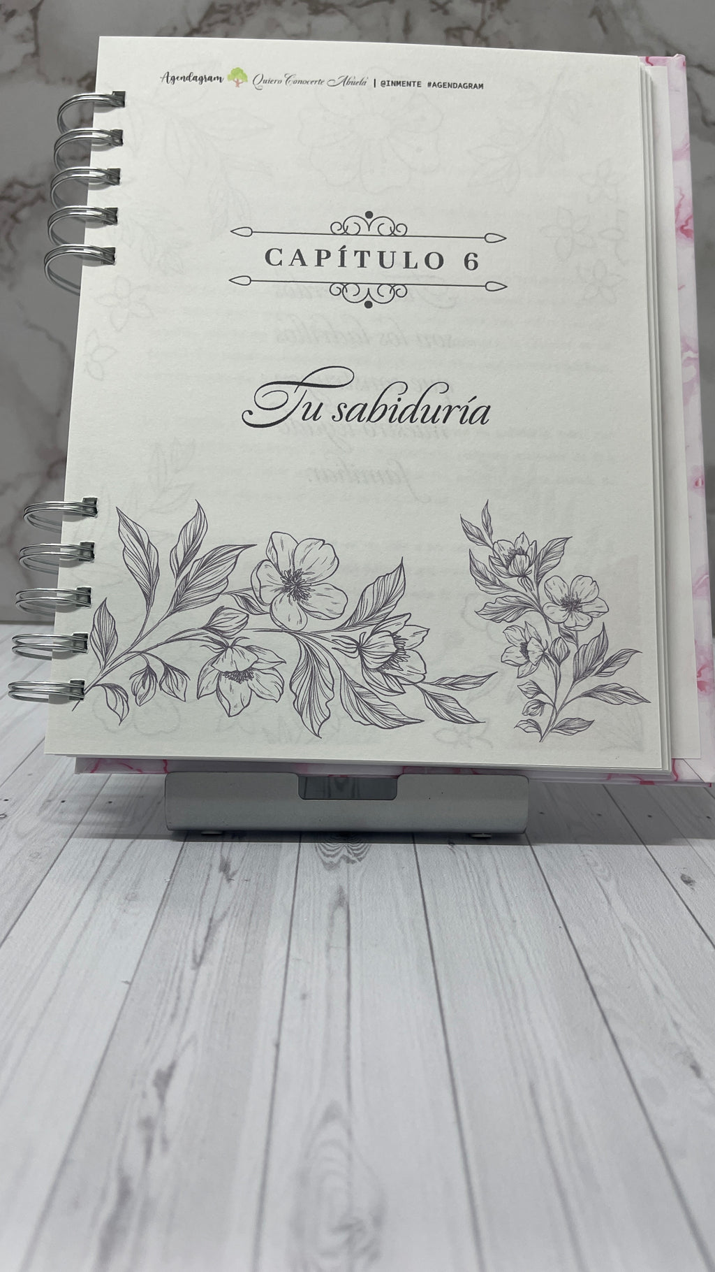Quiero Conocerte Abuela