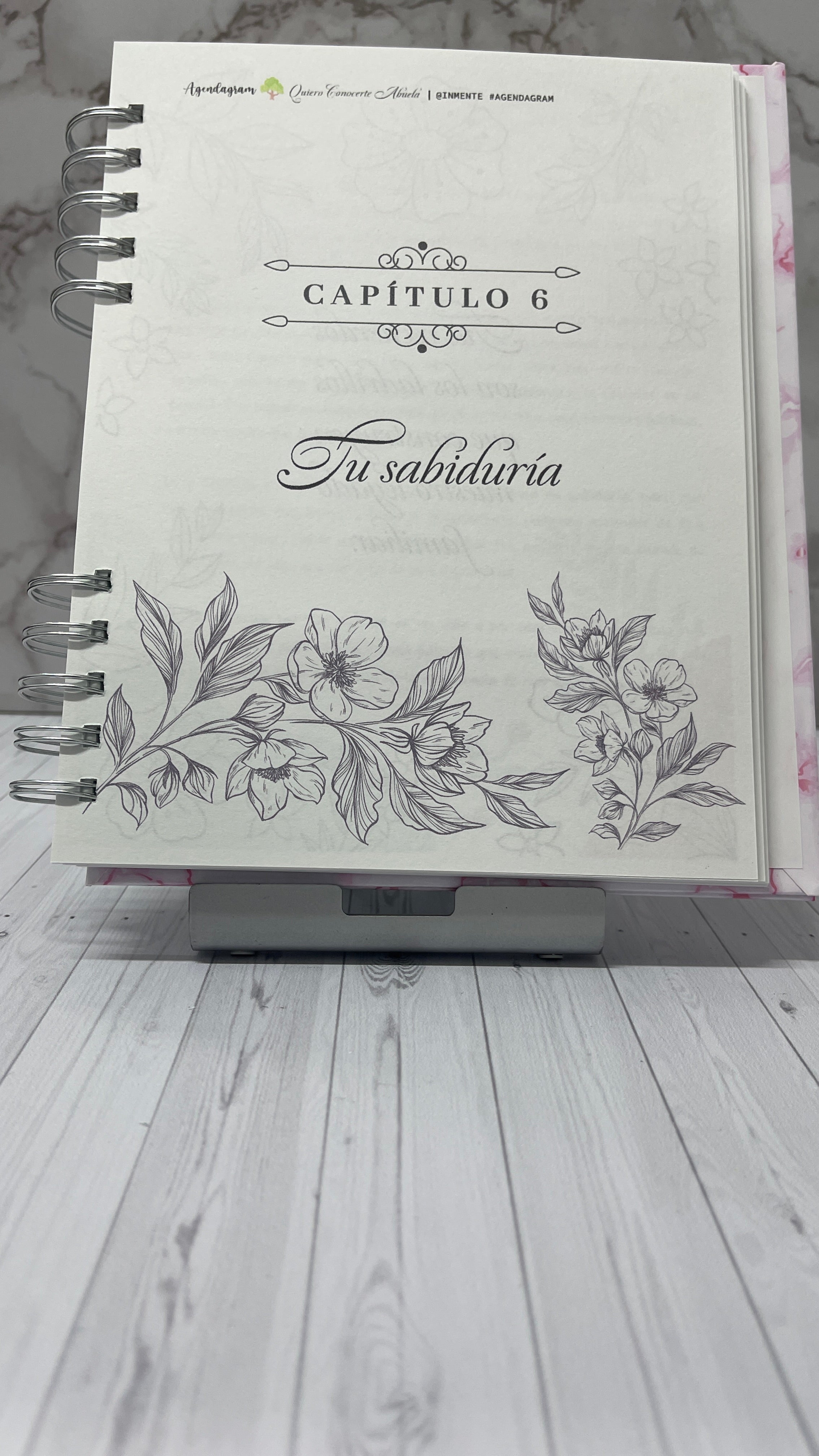 Quiero Conocerte Abuela