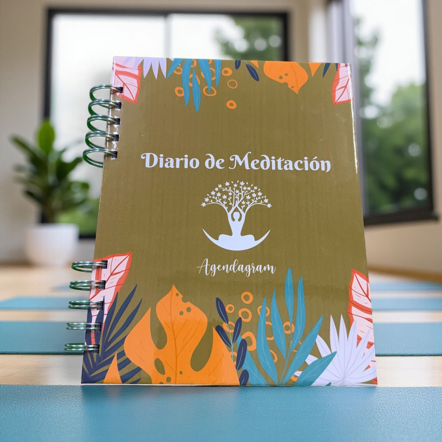 Diario de Meditación