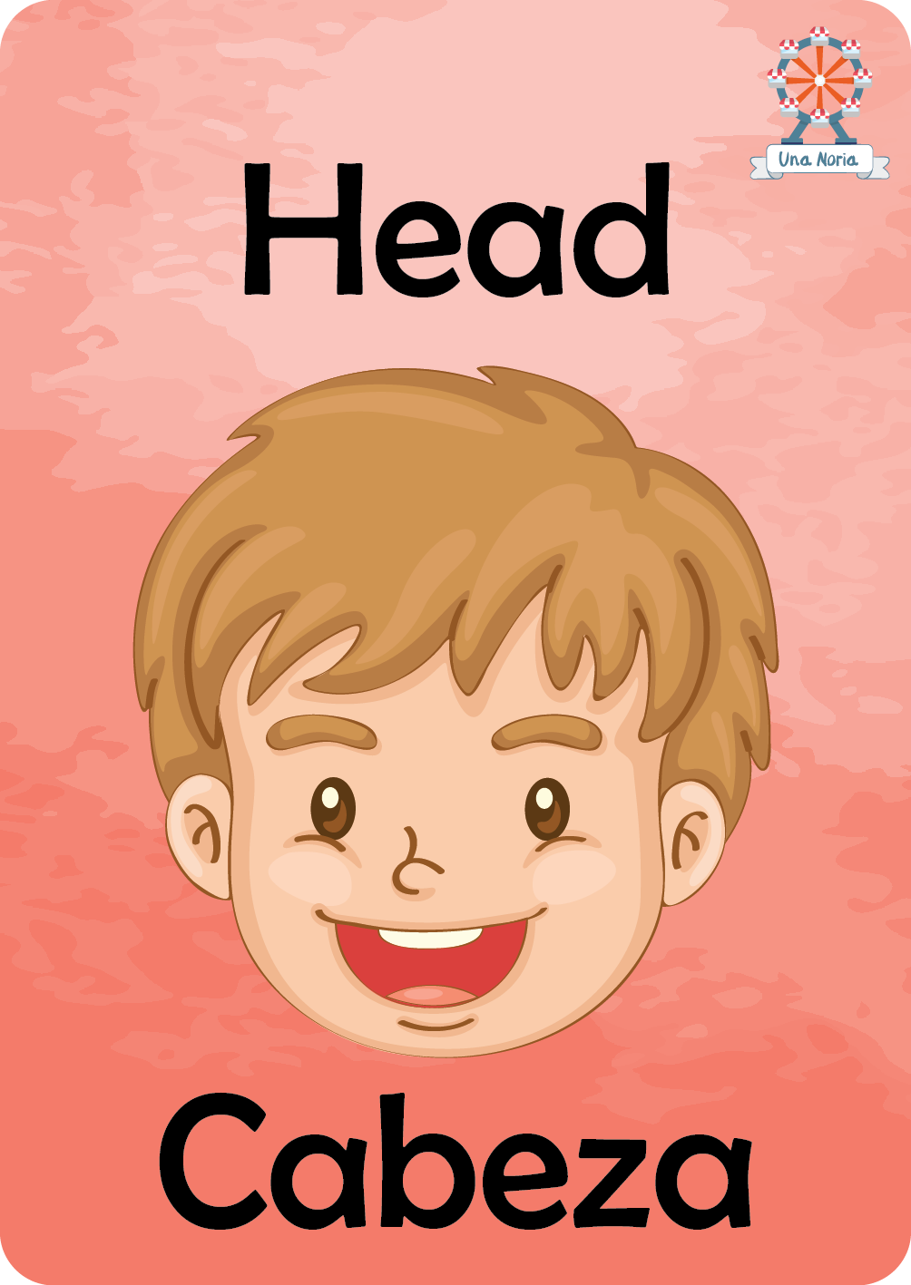 Flash Cards - My Body