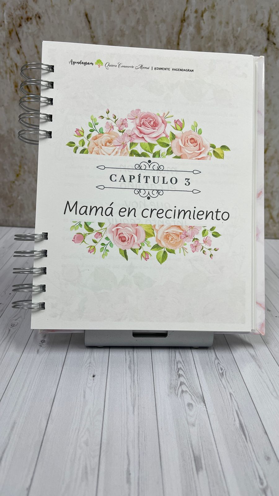Quiero Conocerte Mamá